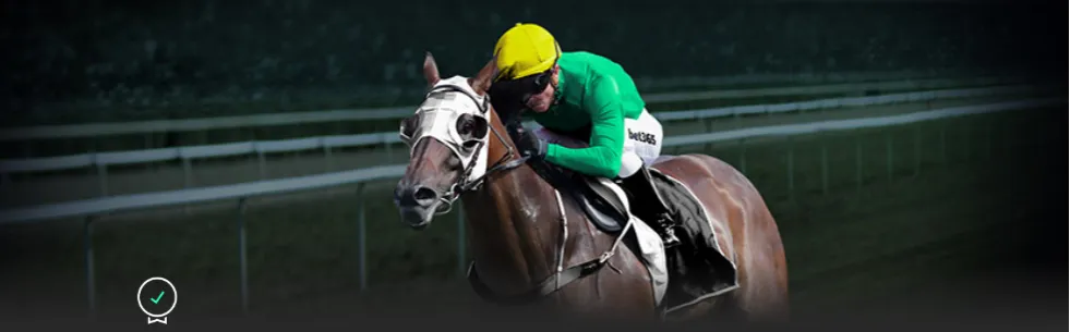 焦点战,凯尔特人迎,战活塞赛前,百姓彩票,在线购彩,彩票平台,高频彩票,中奖机会