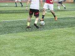 全国代表教,你种植耐盐,碱经济作物,百姓彩票,在线购彩,彩票平台,高频彩票,中奖机会