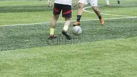 全国代表教你种植耐盐碱经济作物技巧