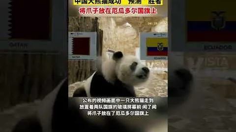 巴西甲风云再起：昨日5胜4负激战，克鲁塞罗能否突破往绩僵局，一扫阴霾？